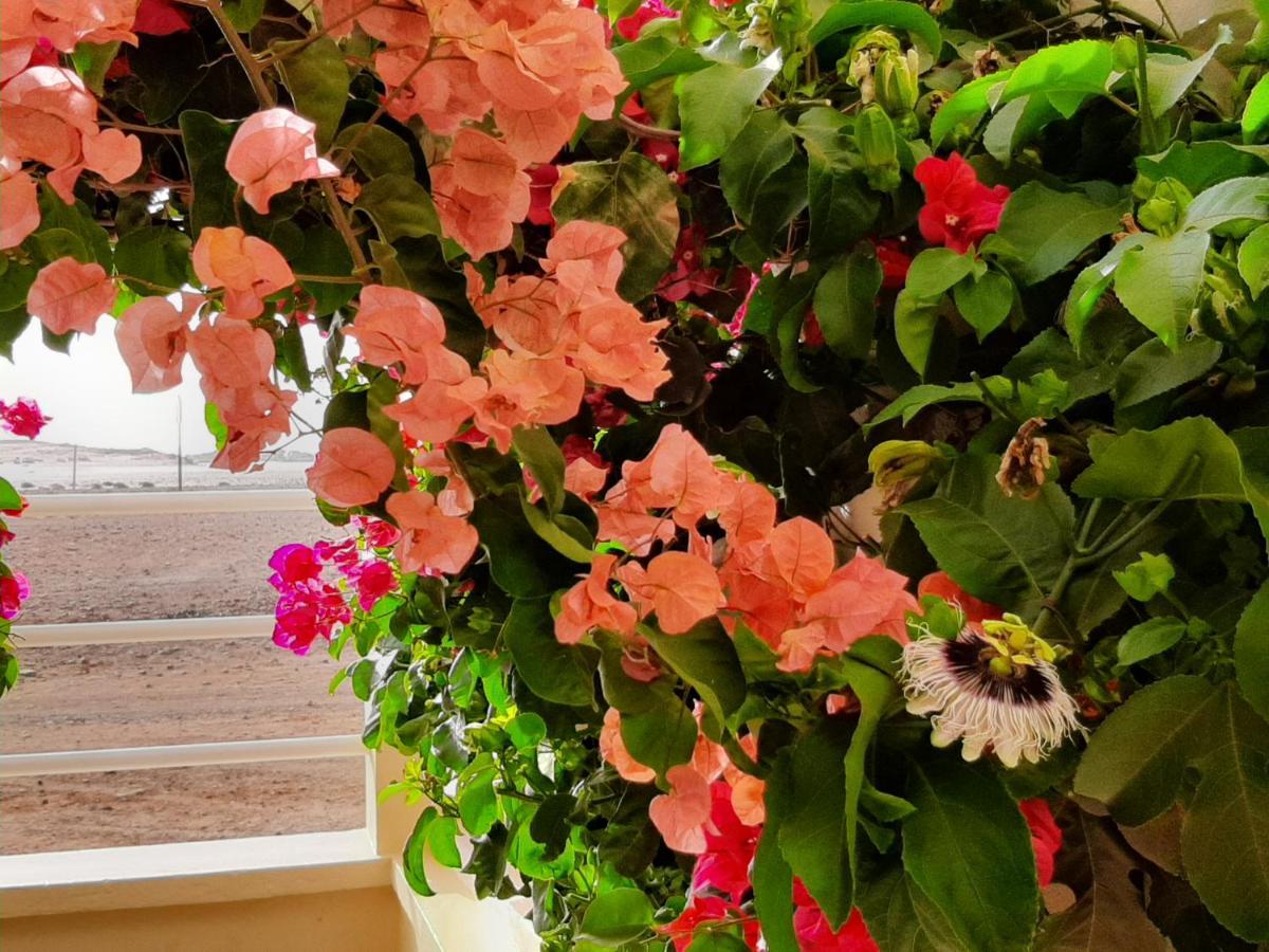 Terra Kriola Aparthotel Sal Rei Kültér fotó