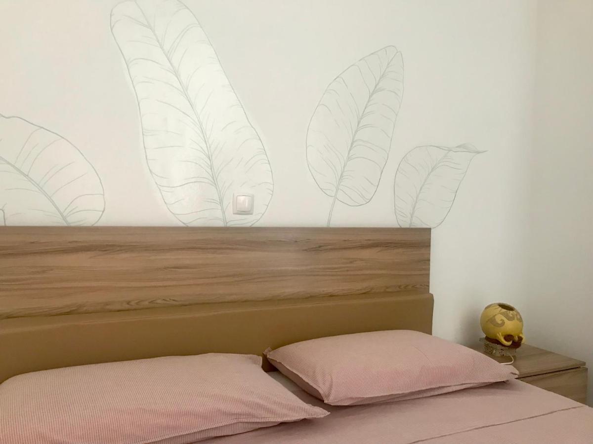 Terra Kriola Aparthotel Sal Rei Kültér fotó